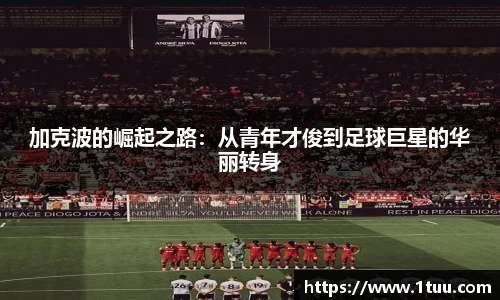 米乐YY易游