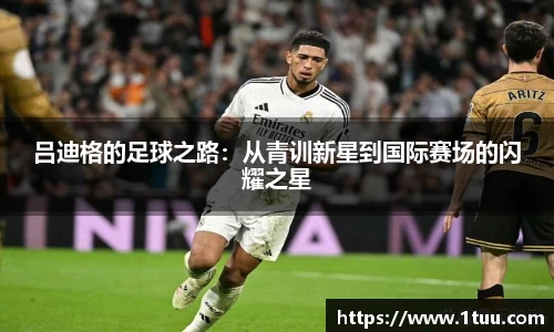 易游