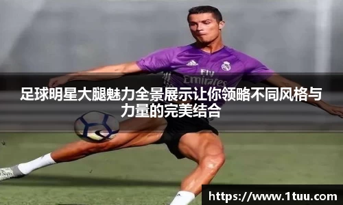 易游