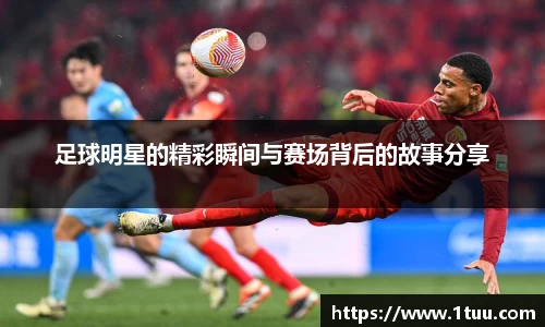 米乐YY易游